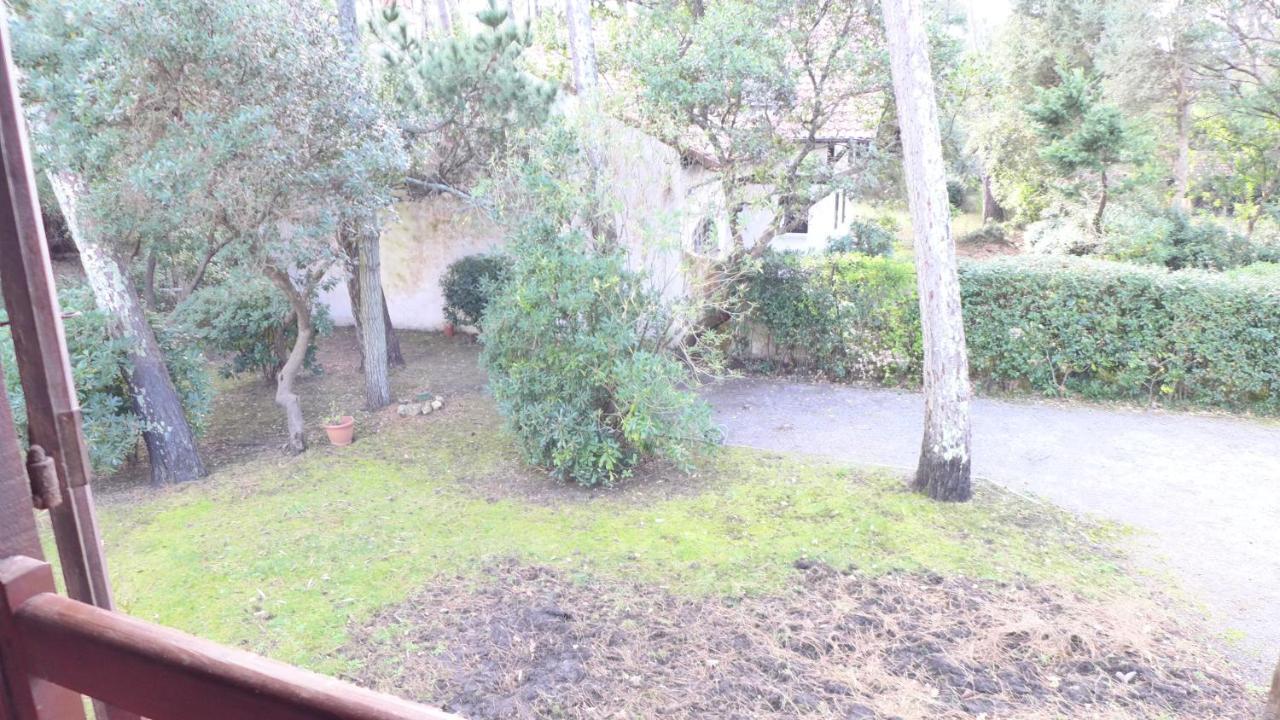 Ref 141 ,Seignosse Les Bourdaines , Villa Bouharde Classee 3 Etoiles, A 600 M Plage, 10 Personnes 외부 사진